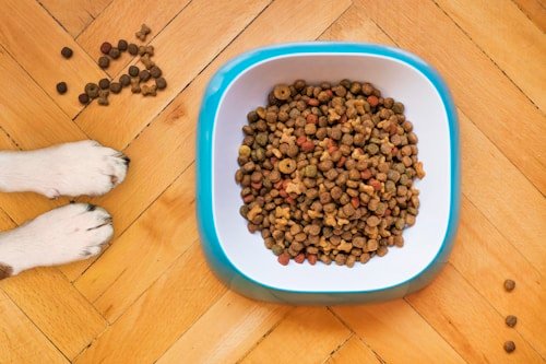 Pet Food