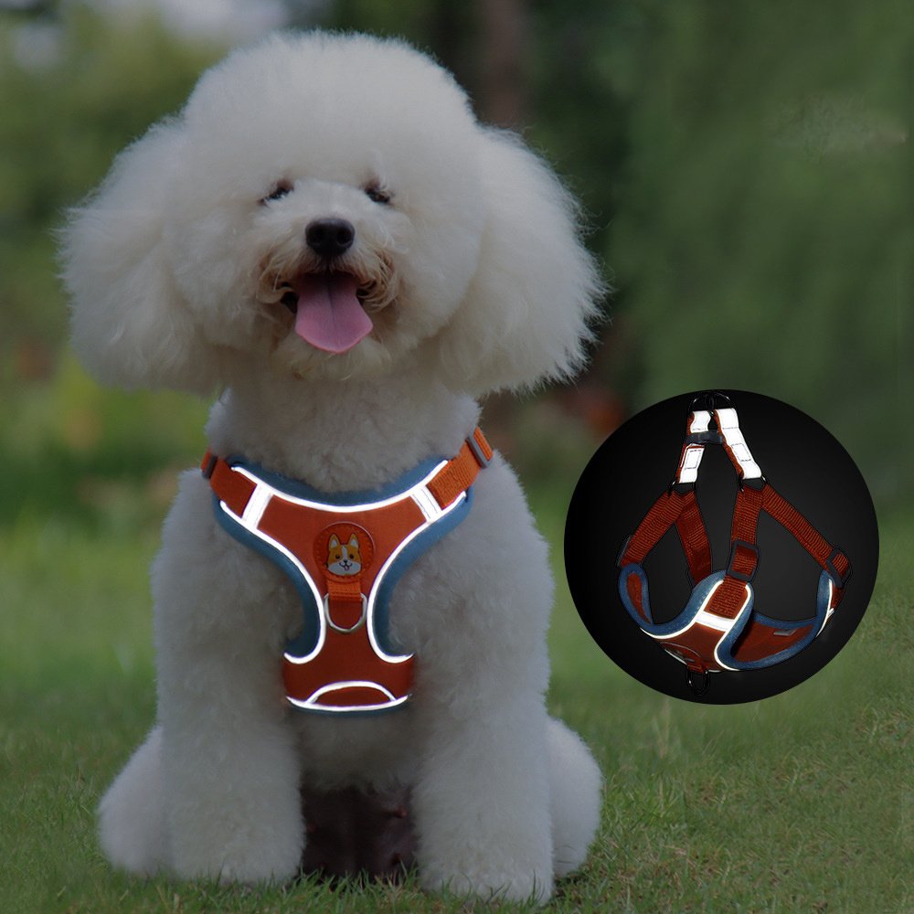New Dog Leash And Harness Set Pet Dog Harness And Leash Set Adjustable Puppy Cat Harness Vest Reflective Walking No Pull Lead Leash For Small Dogs Chihuahua - Image 7