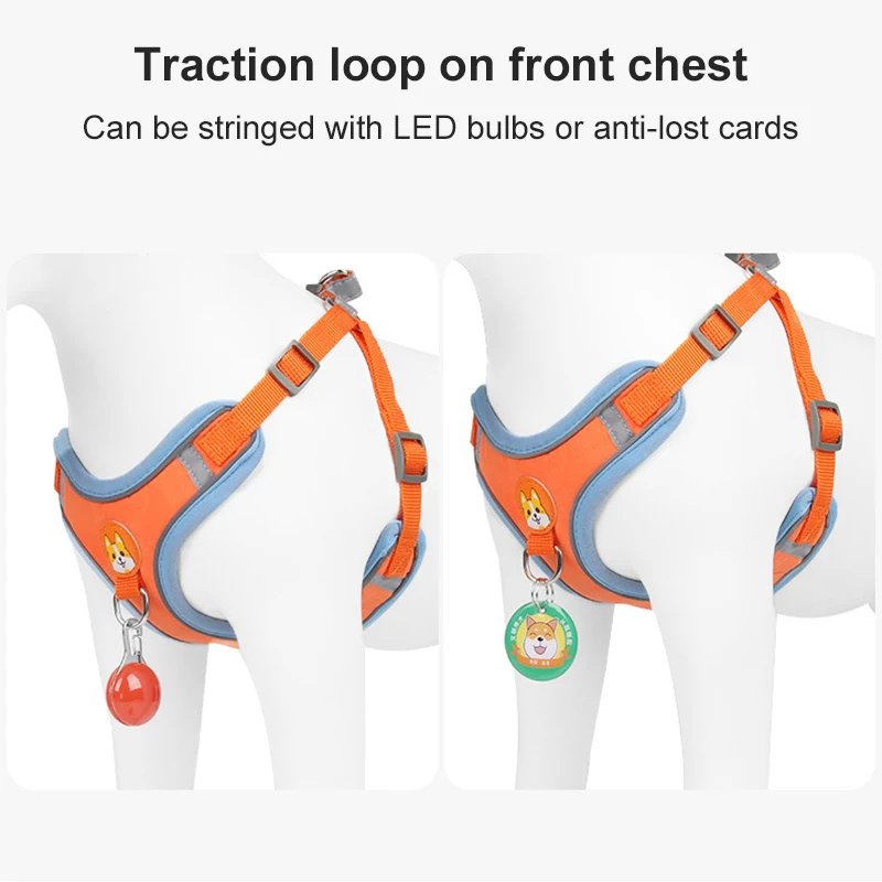 New Dog Leash And Harness Set Pet Dog Harness And Leash Set Adjustable Puppy Cat Harness Vest Reflective Walking No Pull Lead Leash For Small Dogs Chihuahua - Image 9